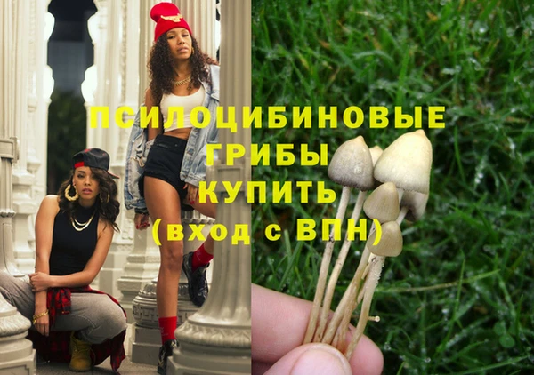ECSTASY Беломорск