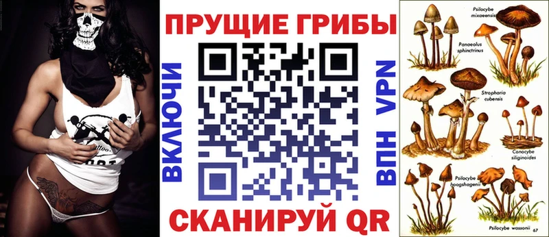 мега tor Велиж Галлюциногенные грибы GOLDEN TEACHER наркота